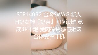 【美乳御姐】【你今天吃了吗】第二弹，四天深喉啪啪被干，骚气逼人勾魂尤物，让人印象深刻的新星 (5)