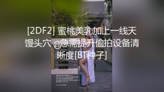 [2DF2] 蜜桃美乳加上一线天馒头穴，急需提升偷拍设备清晰度[BT种子]