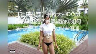 E罩杯美乳黑丝长发妹子打扫家里,与两支大鸡鸡哥哥玩3P