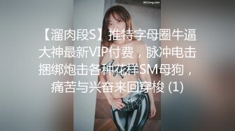 【溜肉段S】推特字母圈牛逼大神最新VIP付费，脉冲电击捆绑炮击各种花样SM母狗，痛苦与兴奋来回穿梭 (1)