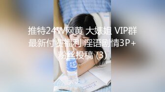 推特24W网黄 大婊姐 VIP群最新付费福利 淫语剧情3P+粉丝投稿 (3)