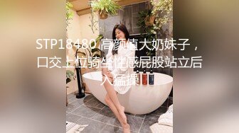 STP18480 高颜值大奶妹子，口交上位骑坐性感屁股站立后入猛操