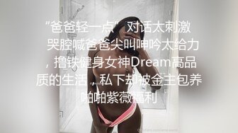 探花李寻欢下海拍片 隔离少女一夜加八千