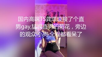 国内高端TS龚璟璇接了个直男gay,猛操直男的菊花，旁边的观众·小狗·全程都看呆了