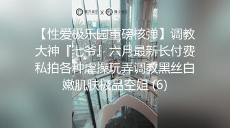 【极品震撼丝袜骚妻】某论坛大神性爱自拍流出 沙发骑乘怼操细腰丰臀极品淫妻 黑丝呻吟NICE