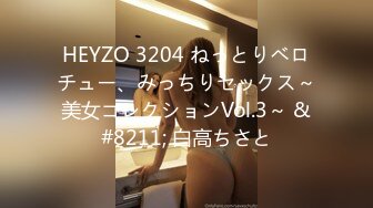 HEYZO 3204 ねっとりベロチュー、みっちりセックス～美女コレクションVol.3～ &#8211; 白高ちさと