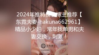 2024年推特换妻博主推荐【东霓夫妻-hakuna662961】精品小少妇，常年找单男和夫妻交换，刺激！