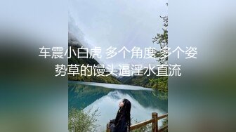 最新11月付费群更新，极品小情侣【D先生和C小姐】暴力性爱美学，骚婊呻吟声一绝 (1)