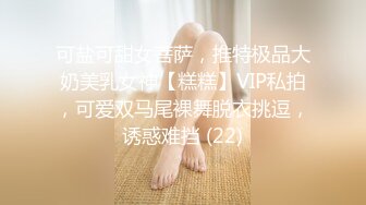 可盐可甜女菩萨，推特极品大奶美乳女神【糕糕】VIP私拍，可爱双马尾裸舞脱衣挑逗，诱惑难挡 (22)