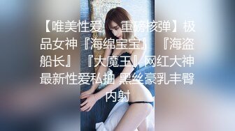 【唯美性爱❤️重磅核弹】极品女神『海绵宝宝』 『海盗船长』 『大魔王』网红大神最新性爱私拍 黑丝豪乳丰臀内射