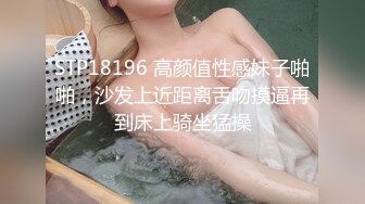 STP18196 高颜值性感妹子啪啪，沙发上近距离舌吻摸逼再到床上骑坐猛操