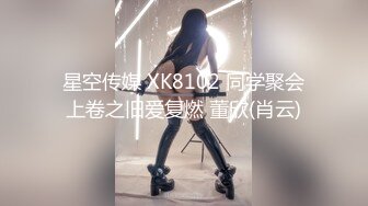 星空传媒 XK8102 同学聚会上卷之旧爱复燃 董欣(肖云)