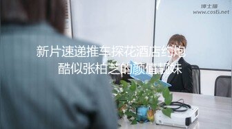 国产AV 葫芦影业 HUL022 旧上海四女子往事6