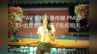 国产AV 蜜桃影像传媒 PMC085 出差借宿小姨子乱伦姐夫 雪霏