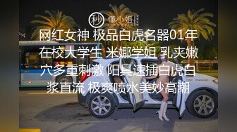 MD-0090_女優狂歡跨年派對旧情复燃派对交欢唯美AV篇官网