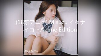 (18禁アニメ) Misuzu イケナイコトAnime Edition