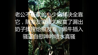 老公不在家的小少妇解决全靠它，陪狼友撩骚太寂寞了漏出奶子揉捏给狼友看，黑牛插入骚逼自慰呻吟喷水真骚