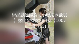 极品颜值骚货【小母狗很骚哦】露脸全裸露出口交【100v】 (15)