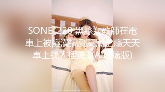 SONE-228 黑絲女教師在電車上被癡漢搞到高潮上癮天天車上找人插還...(AI破壞版)