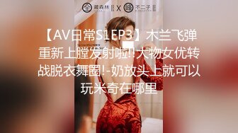 【AV日常S1EP3】木兰飞弹重新上膛发射啦!!大物女优转战脱衣舞圈!-奶放头上就可以玩米奇在哪里