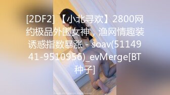 [2DF2] 【小北寻欢】2800网约极品外围女神，渔网情趣装诱惑指数暴涨 - soav(5114941-9510956)_evMerge[BT种子]