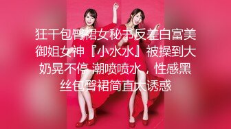 性感亮丝极品美少妇（长篇）（含平地cd）