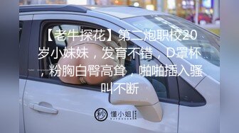 【老牛探花】第二炮职校20岁小妹妹，发育不错，D罩杯，粉胸白臀高耸，啪啪插入骚叫不断