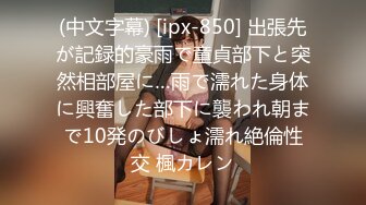 【MP4/HD】国庆档特辑伪装者代号91下▌莉娜▌美女特工堕入陷阱 劲爆翘乳肏穴逼供