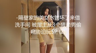 -隔壁家的美女水管坏了来借洗手间 被屋主及3个猥琐男偷窥胁迫玩5P (2)