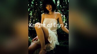 Knight of Erin 2