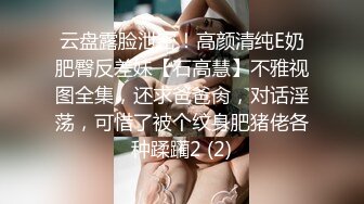 云盘露脸泄密！高颜清纯E奶肥臀反差妹【石高慧】不雅视图全集，还求爸爸肏，对话淫荡，可惜了被个纹身肥猪佬各种蹂躏2 (2)