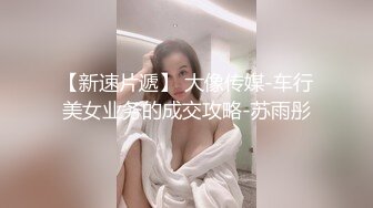 【新速片遞】 大像传媒-车行美女业务的成交攻略-苏雨彤