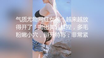 91四驅兄弟 爆艹風騷新婚女房東(VIP)