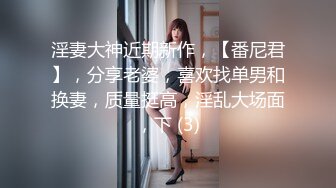 淫妻大神近期新作，【番尼君】，分享老婆，喜欢找单男和换妻，质量挺高，淫乱大场面，下 (3)