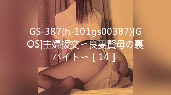 GS-387(h_101gs00387)[GOS]主婦援交〜良妻賢母の裏バイト〜［14］