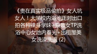 (申精)大奶小母狗被操超清晰版