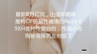    极品淫妻小母狗啪啪性爱私拍调教流出 黑丝制服小骚货镜前后入边操边录