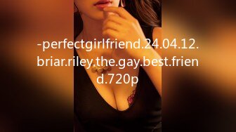 -perfectgirlfriend.24.04.12.briar.riley.the.gay.best.friend.720p